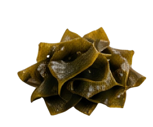 Kelp