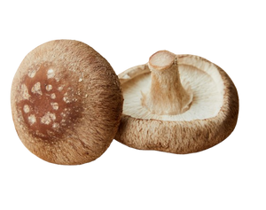 Mushrooms