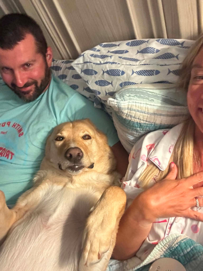 Rescue Dog