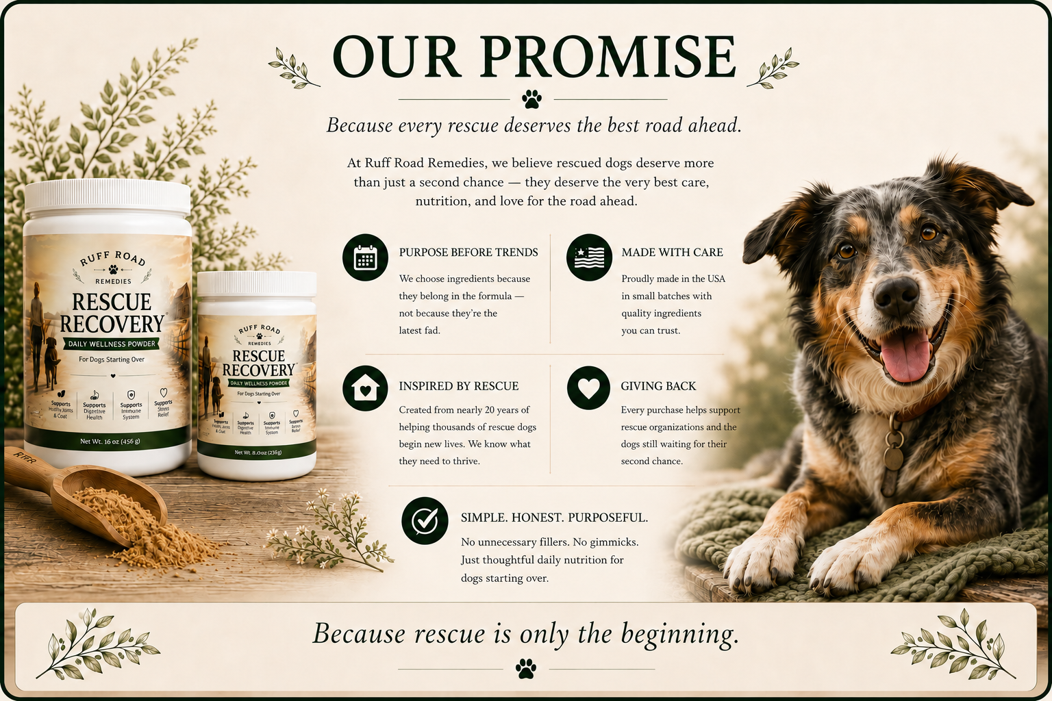 OUR PROMISE Detailed Sheet