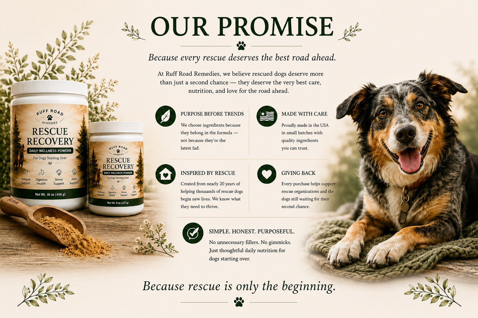 OUR PROMISE Detailed Sheet
