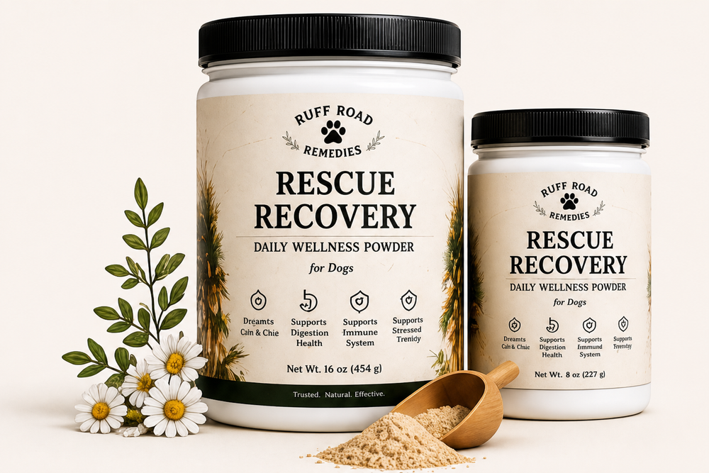 Rescue Recovery